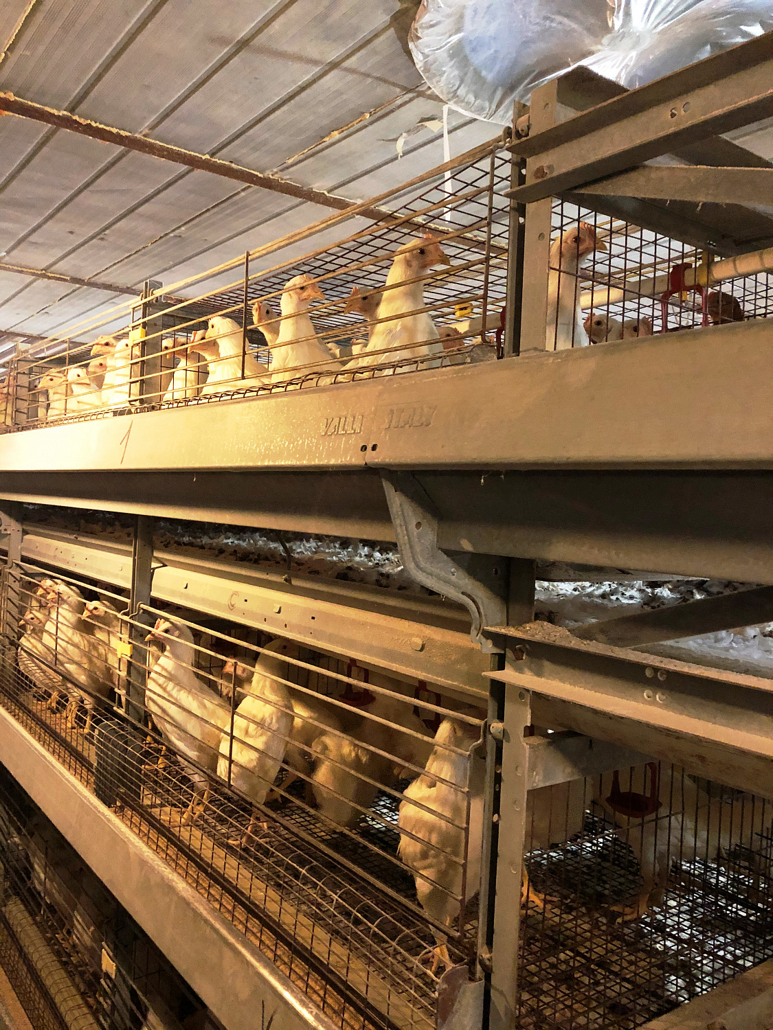 Очередной Хабаровский производитель подтвердил соответствие своей продукции требованиям ГОСТ в НСС